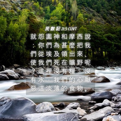 Picture 04 - 民 數 記 21:5 CUVT - 就 怨 讟 神 和 摩 西 說 ： 你 們 為 - Bible Verse Picture