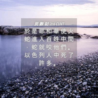 Picture 04 - 民 數 記 21:6 CUVT - 於 是 耶 和 華 使 火 蛇 進 入 百 姓 - Bible Verse Picture