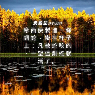 Picture 04 - 民 數 記 21:9 CUVT - 摩 西 便 製 造 一 條 銅 蛇 ， 掛 在 - Bible Verse Picture