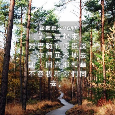 Picture 04 - 民 數 記 22:13 CUVT - 巴 蘭 早 晨 起 來 ， 對 巴 勒 的 使 - Bible Verse Picture