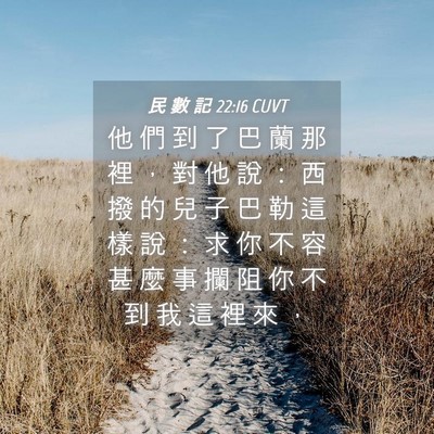 Picture 04 - 民 數 記 22:16 CUVT - 他 們 到 了 巴 蘭 那 裡 ， 對 他 說 - Bible Verse Picture