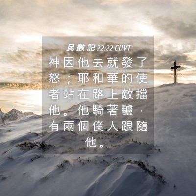 Picture 04 - 民 數 記 22:22 CUVT - 神 因 他 去 就 發 了 怒 ； 耶 和 華 - Bible Verse Picture