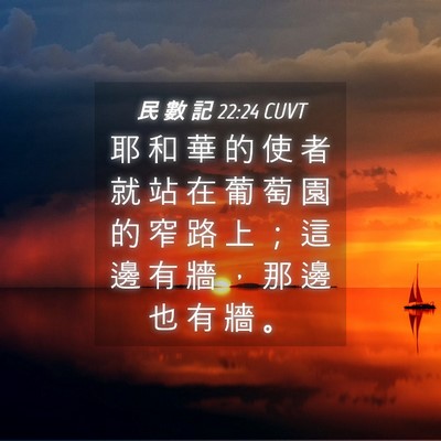 Picture 04 - 民 數 記 22:24 CUVT - 耶 和 華 的 使 者 就 站 在 葡 萄 園 - Bible Verse Picture