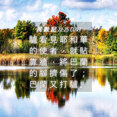 Picture 04 - 民 數 記 22:25 CUVT - 驢 看 見 耶 和 華 的 使 者 ， 就 貼 - Bible Verse Picture