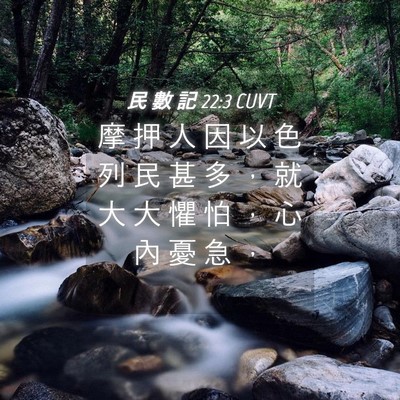 Picture 04 - 民 數 記 22:3 CUVT - 摩 押 人 因 以 色 列 民 甚 多 ， 就 - Bible Verse Picture