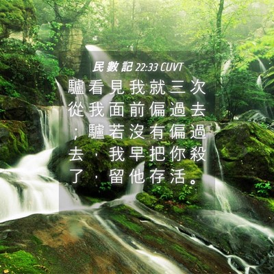 Picture 04 - 民 數 記 22:33 CUVT - 驢 看 見 我 就 三 次 從 我 面 前 偏 - Bible Verse Picture
