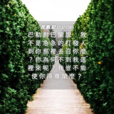 Picture 04 - 民 數 記 22:37 CUVT - 巴 勒 對 巴 蘭 說 ： 我 不 是 急 急 - Bible Verse Picture