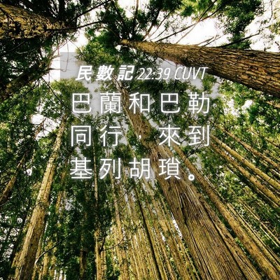 Picture 04 - 民 數 記 22:39 CUVT - 巴 蘭 和 巴 勒 同 行 ， 來 到 基 列 - Bible Verse Picture