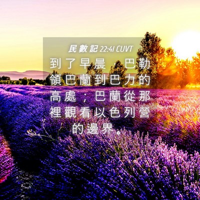 Picture 04 - 民 數 記 22:41 CUVT - 到 了 早 晨 ， 巴 勒 領 巴 蘭 到 巴 - Bible Verse Picture