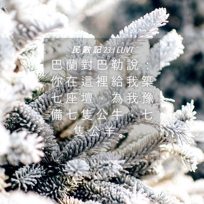 Picture 04 - 民 數 記 23:1 CUVT - 巴 蘭 對 巴 勒 說 ： 你 在 這 裡 給 - Bible Verse Picture
