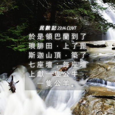 Picture 04 - 民 數 記 23:14 CUVT - 於 是 領 巴 蘭 到 了 瑣 腓 田 ， 上 - Bible Verse Picture