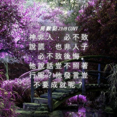 Picture 04 - 民 數 記 23:19 CUVT - 神 非 人 ， 必 不 致 說 謊 ， 也 非 - Bible Verse Picture