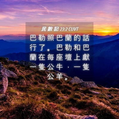 Picture 04 - 民 數 記 23:2 CUVT - 巴 勒 照 巴 蘭 的 話 行 了 。 巴 勒 - Bible Verse Picture