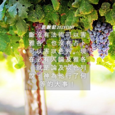 Picture 04 - 民 數 記 23:23 CUVT - 斷 沒 有 法 術 可 以 害 雅 各 ， 也 - Bible Verse Picture