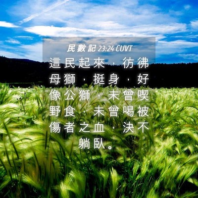 Picture 04 - 民 數 記 23:24 CUVT - 這 民 起 來 ， 彷 彿 母 獅 ， 挺 身 - Bible Verse Picture