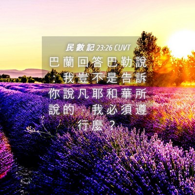 Picture 04 - 民 數 記 23:26 CUVT - 巴 蘭 回 答 巴 勒 說 ： 我 豈 不 是 - Bible Verse Picture