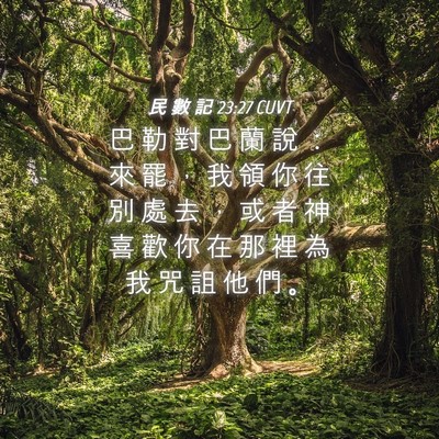 Picture 04 - 民 數 記 23:27 CUVT - 巴 勒 對 巴 蘭 說 ： 來 罷 ， 我 領 - Bible Verse Picture