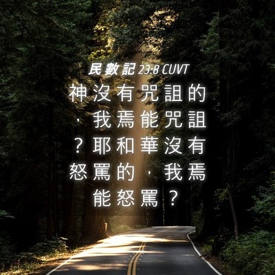 Picture 04 - 民 數 記 23:8 CUVT - 神 沒 有 咒 詛 的 ， 我 焉 能 咒 詛 - Bible Verse Picture