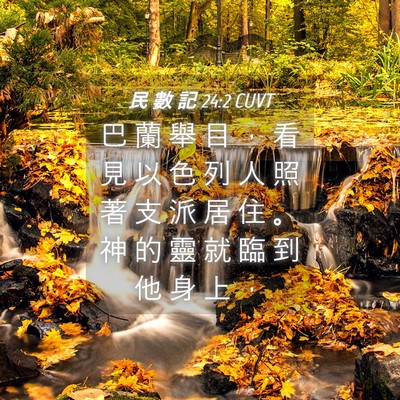 Picture 04 - 民 數 記 24:2 CUVT - 巴 蘭 舉 目 ， 看 見 以 色 列 人 照 - Bible Verse Picture