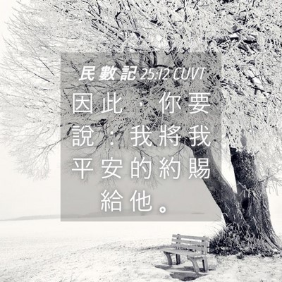 Picture 04 - 民 數 記 25:12 CUVT - 因 此 ， 你 要 說 ： 我 將 我 平 安 - Bible Verse Picture