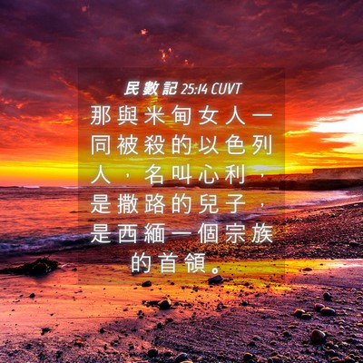 Picture 04 - 民 數 記 25:14 CUVT - 那 與 米 甸 女 人 一 同 被 殺 的 以 - Bible Verse Picture