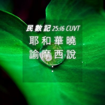 Picture 04 - 民 數 記 25:16 CUVT - 耶 和 華 曉 諭 摩 西 說 - Bible Verse Picture