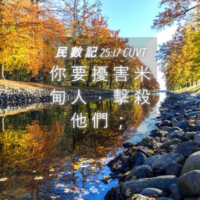 Picture 04 - 民 數 記 25:17 CUVT - 你 要 擾 害 米 甸 人 ， 擊 殺 他 們 - Bible Verse Picture