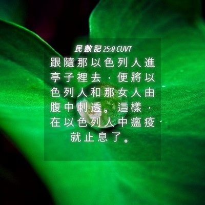 Picture 04 - 民 數 記 25:8 CUVT - 跟 隨 那 以 色 列 人 進 亭 子 裡 去 - Bible Verse Picture