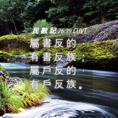 Picture 04 - 民 數 記 26:39 CUVT - 屬 書 反 的 ， 有 書 反 族 ； 屬 戶 - Bible Verse Picture