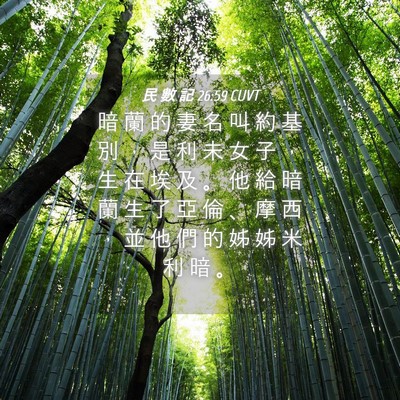 Picture 04 - 民 數 記 26:59 CUVT - 暗 蘭 的 妻 名 叫 約 基 別 ， 是 利 - Bible Verse Picture