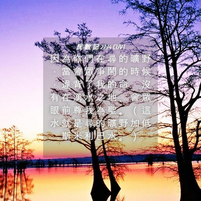 Picture 04 - 民 數 記 27:14 CUVT - 因 為 你 們 在 尋 的 曠 野 ， 當 會 - Bible Verse Picture