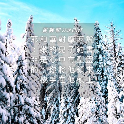 Picture 04 - 民 數 記 27:18 CUVT - 耶 和 華 對 摩 西 說 ： 嫩 的 兒 子 - Bible Verse Picture