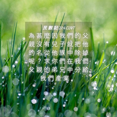 Picture 04 - 民 數 記 27:4 CUVT - 為 甚 麼 因 我 們 的 父 親 沒 有 兒 - Bible Verse Picture