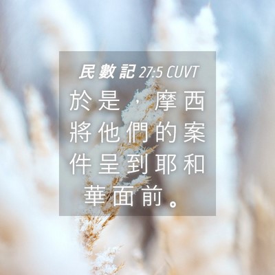 Picture 04 - 民 數 記 27:5 CUVT - 於 是 ， 摩 西 將 他 們 的 案 件 呈 - Bible Verse Picture