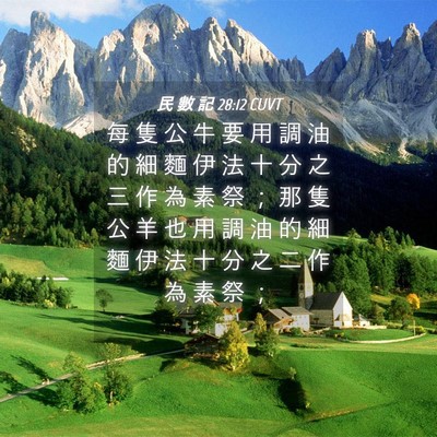 Picture 04 - 民 數 記 28:12 CUVT - 每 隻 公 牛 要 用 調 油 的 細 麵 伊 - Bible Verse Picture