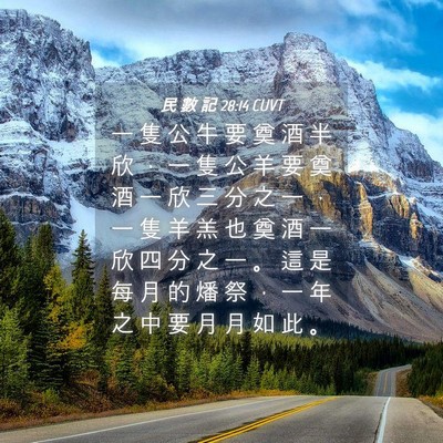 Picture 04 - 民 數 記 28:14 CUVT - 一 隻 公 牛 要 奠 酒 半 欣 ， 一 隻 - Bible Verse Picture