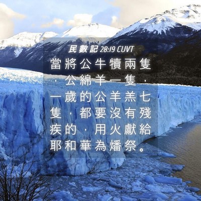 Picture 04 - 民 數 記 28:19 CUVT - 當 將 公 牛 犢 兩 隻 ， 公 綿 羊 一 - Bible Verse Picture