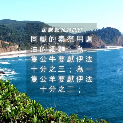 Picture 04 - 民 數 記 28:20 CUVT - 同 獻 的 素 祭 用 調 油 的 細 麵 ； - Bible Verse Picture