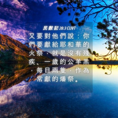 Picture 04 - 民 數 記 28:3 CUVT - 又 要 對 他 們 說 ： 你 們 要 獻 給 - Bible Verse Picture