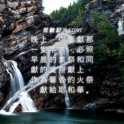 Picture 04 - 民 數 記 28:8 CUVT - 晚 上 ， 你 要 獻 那 一 隻 羊 羔 ， - Bible Verse Picture