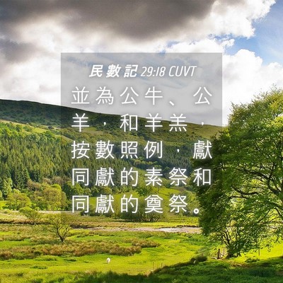 Picture 04 - 民 數 記 29:18 CUVT - 並 為 公 牛 、 公 羊 ， 和 羊 羔 ， - Bible Verse Picture