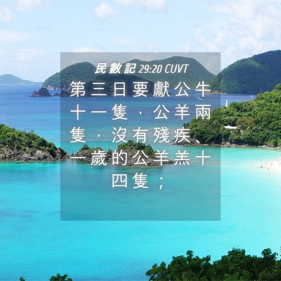 Picture 04 - 民 數 記 29:20 CUVT - 第 三 日 要 獻 公 牛 十 一 隻 ， 公 - Bible Verse Picture