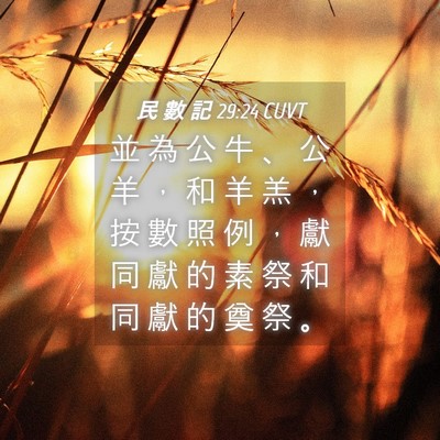 Picture 04 - 民 數 記 29:24 CUVT - 並 為 公 牛 、 公 羊 ， 和 羊 羔 ， - Bible Verse Picture