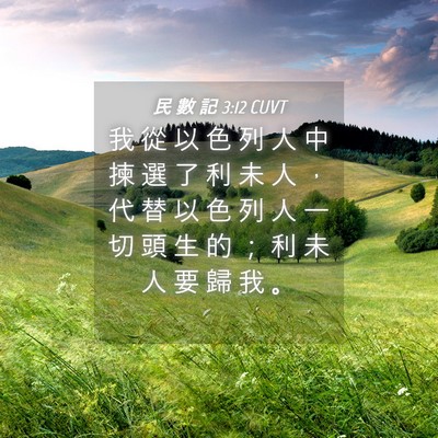 Picture 04 - 民 數 記 3:12 CUVT - 我 從 以 色 列 人 中 揀 選 了 利 未 - Bible Verse Picture