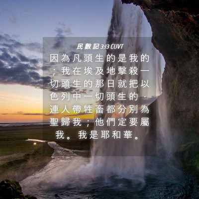 Picture 04 - 民 數 記 3:13 CUVT - 因 為 凡 頭 生 的 是 我 的 ； 我 在 - Bible Verse Picture
