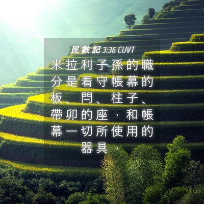 Picture 04 - 民 數 記 3:36 CUVT - 米 拉 利 子 孫 的 職 分 是 看 守 帳 - Bible Verse Picture