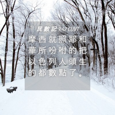 Picture 04 - 民 數 記 3:42 CUVT - 摩 西 就 照 耶 和 華 所 吩 咐 的 把 - Bible Verse Picture