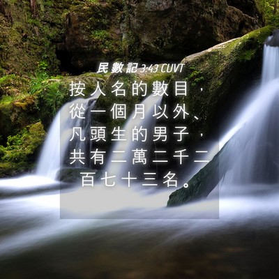 Picture 04 - 民 數 記 3:43 CUVT - 按 人 名 的 數 目 ， 從 一 個 月 以 - Bible Verse Picture