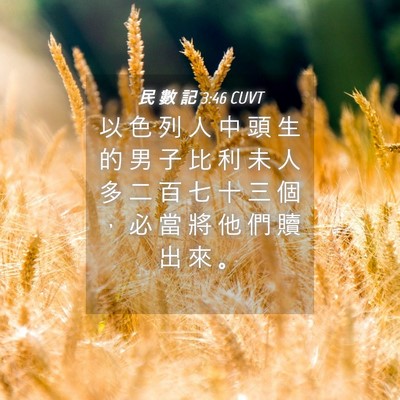 Picture 04 - 民 數 記 3:46 CUVT - 以 色 列 人 中 頭 生 的 男 子 比 利 - Bible Verse Picture