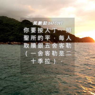 Picture 04 - 民 數 記 3:47 CUVT - 你 要 按 人 丁 ， 照 聖 所 的 平 ， - Bible Verse Picture